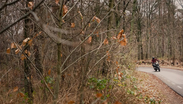 Filerijden advies in het najaar